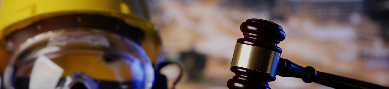 CONSTRUCTION ADJUDICATION